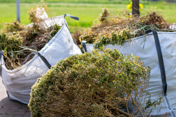 Best Appliance Removal Near Me  in Metamora, IL