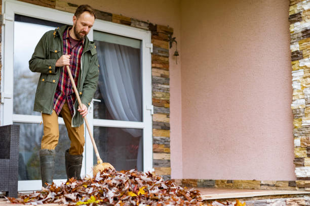 Best Basement Cleanout Services  in Metamora, IL
